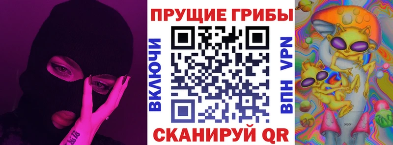 Купить где  Бабушкин  Псилоцибиновые грибы прущие грибы 